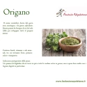 Branches de 40 g d'Origano Italiano Fantasia Napoletana
