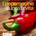 Peperoncini Rosso Filare  12/17 cm 60 g Fantasia Napoletana
