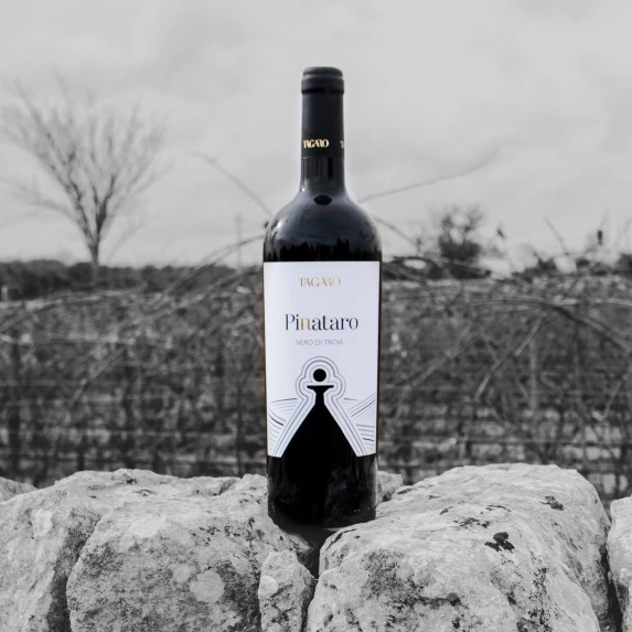 Nero Di Troia IGT Pinataro 13 % 75 CL x 6