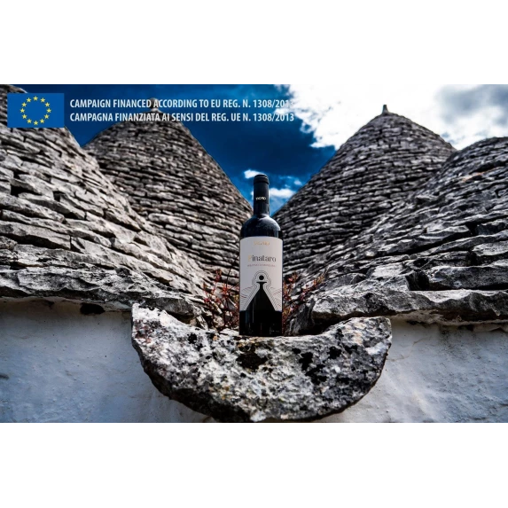 Primitivo Di Manduria DOC 14.5 % 75 CL x 6