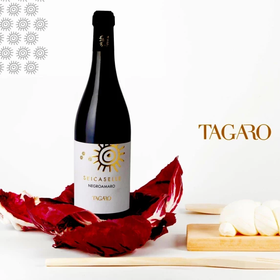 Negroamaro Salice Salentino Seicaselle 14% 75 CL x 6