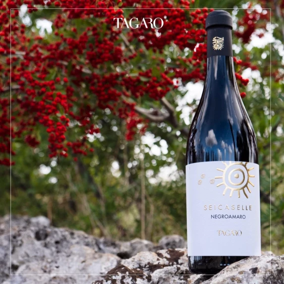Negroamaro Salice Salentino Seicaselle 14% 75 CL x 6