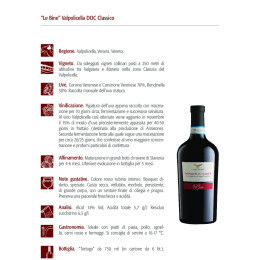 Campagnola-Valpolicella-Le-Bine-ita