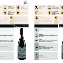 PASSO DEL SUD_NEGROAMMARO PRIMITIVO