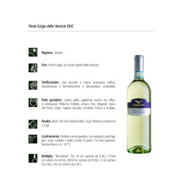 Scheda_Pinot_Grigio_Campagnola_ita1