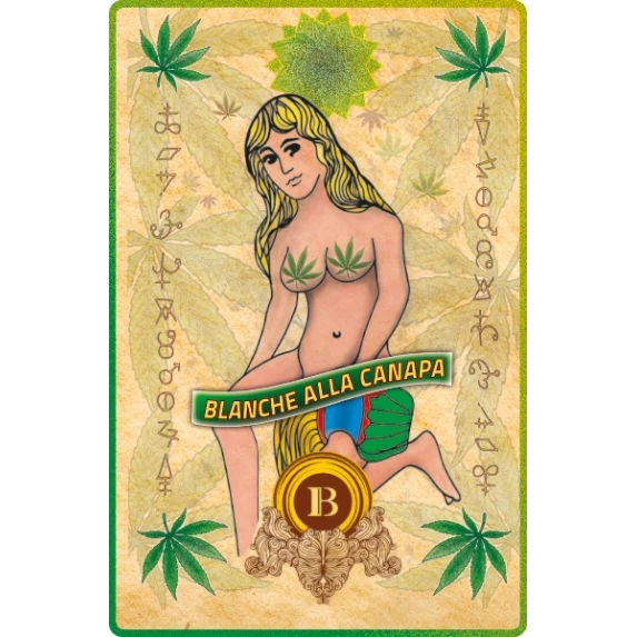 St’Orta Bière Artisanale Italienne Ibeer 5,6% 33CL x12