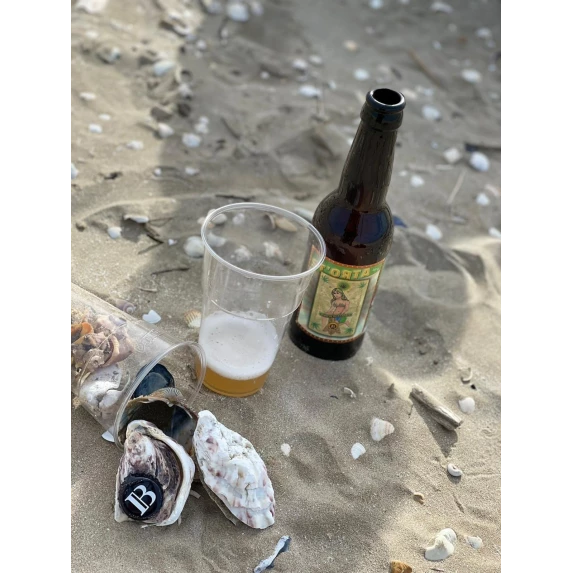 St’Orta Bière Artisanale Italienne Ibeer 5,6% 33CL x12