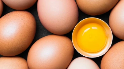 Le Coq Normand