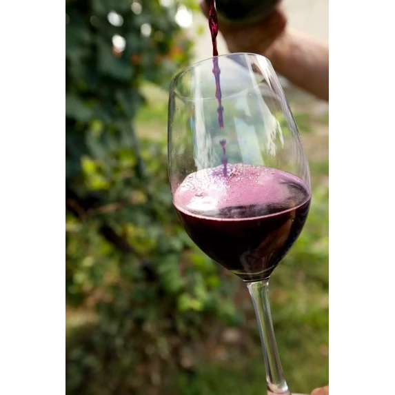 Lambrusco Grasparossa DOC Rosso "Remigio 100"  11° - 75 cl