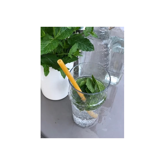 Pasta Paille Formato tipico regionale Mezzani N°3 500gr Divella 12kg