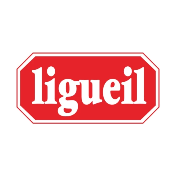 Tranches de Raclette Surgelées 15GR IQF 500gr