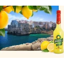Limoncello Mediterraneo 30° Merak Pichet 2L