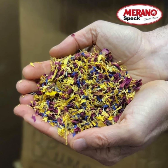 Speck Alto Adige IGP Südtirol 6 Mois de 2,6kg environ