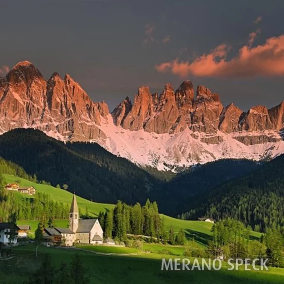 Speck Alto Adige IGP Südtirol 6 Mois de 2,6kg environ