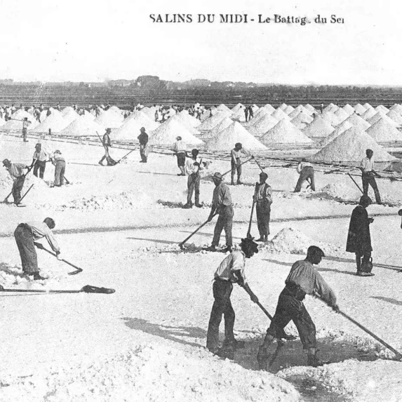 Sel Marin Naturel Fin en Seau de 5kg