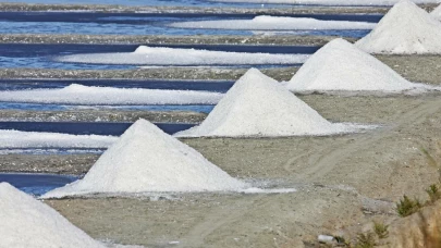 LA BALEINE DEPUIS 1934