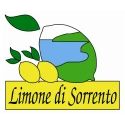 Crema di Limoncello di Sorrento en Bouteille Opera  10 cl - 17°