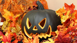 Halloween : nos ingrédients d'enfer !