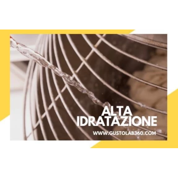 Pâte pour Pizza Pala Intera IQF de 60 x 30 cm - 600 g