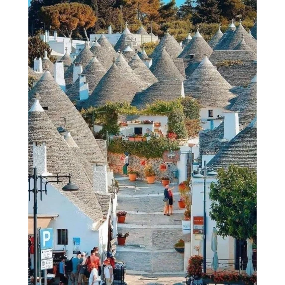 Tarallini Semi di Finocchio 250 gr x 15