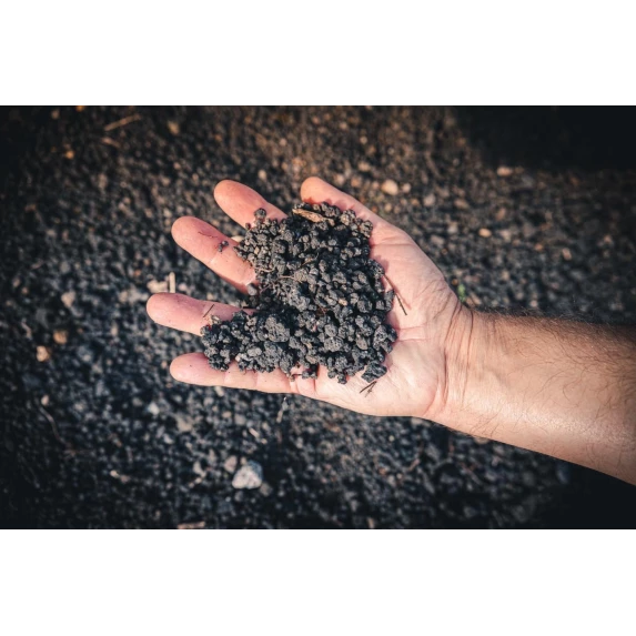 Aglianico Campagnia IGT Terramatta Casa Setaro 14% 12 x 75 cl