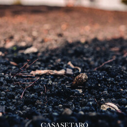 schede tecniche per invio veloce 2