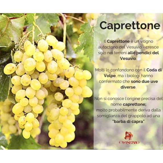 Lacryma Christi del Vesuvio DOC Munzanei Bianco par Casa Setaro 13% 6 x 75 cl