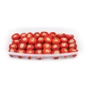 Mini Poivrons Zefirino Farcis au Thon Renna 2KG