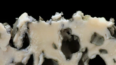 Vernières Roquefort