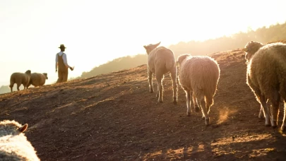 Caseificio Centro Form