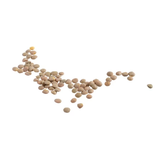 Linguine Végétales IQF Véganes aux Légumes (Chou-Fleur, Petits Pois & Lentilles) 2 kg Surgital