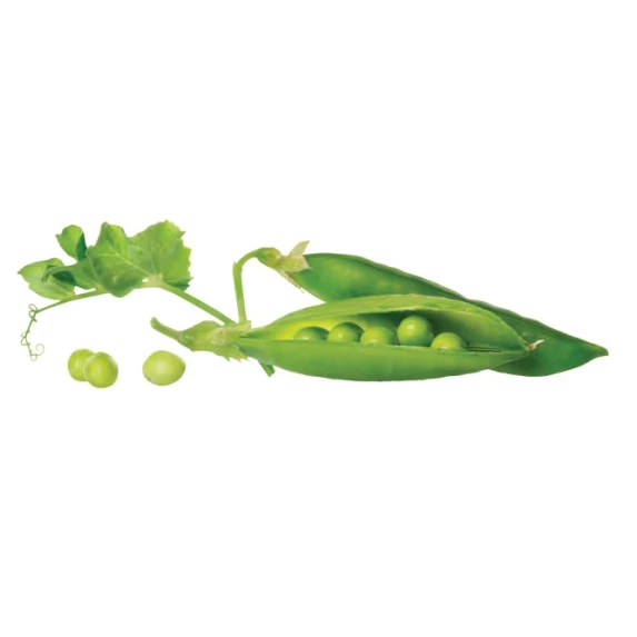 Linguine Végétales IQF Véganes aux Légumes (Chou-Fleur, Petits Pois & Lentilles) 2 kg Surgital