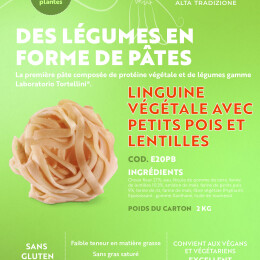 Linguine Choux Fleur-Petits Pois-Lentilles FR