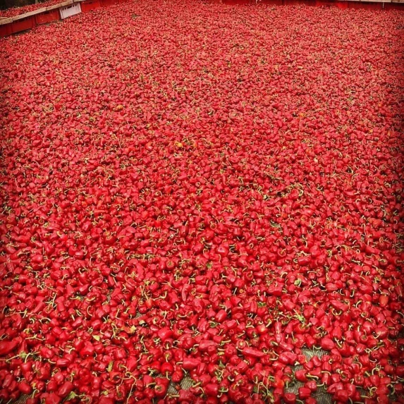 'Nduja di Spilinga in Orba 1,2 kg San Donato