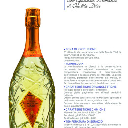 147-fashion-moscato-I