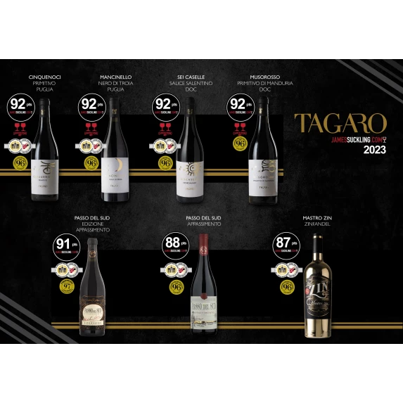 Negroamaro Salice Salentino Seicaselle 14% 75 CL x 6
