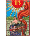 IPA Bière Artisanale Italienne 6,5% Ibeer 33CL x12
