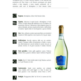 Scheda_Arnaces_Prosecco_frizz_ita3 2