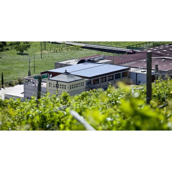 Pinot Grigio DOC Del Veneto 12% Campagnola