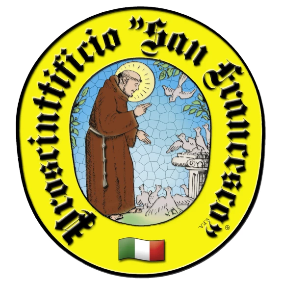 Jambon de Parme désossé 15 mois San Francesco