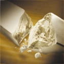 Cubes de Levure Fraîche de Boulanger l’Hirondelle 12 x 42Gr