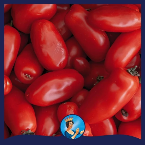 Polpa fine di pomodoro di Salerno Bella San Marzano 5/1