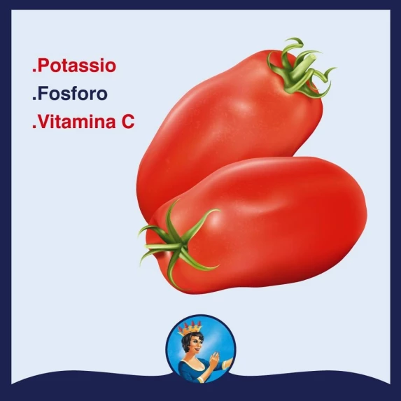 Polpa fine di pomodoro di Salerno Bella San Marzano 5/1