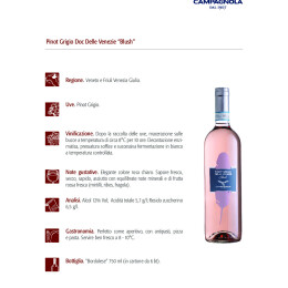 Campagnola-Pinot-Grigio-Blush-ita-PIUMA
