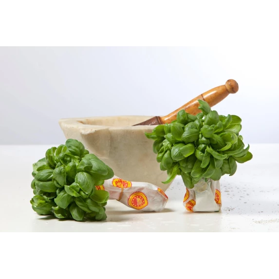 Pesto Frais Alla Genovese al Basilico Genovese DOP SEAU PET 1,2KG