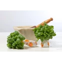 Pesto Frais Alla Genovese al Basilico Genovese DOP SEAU PET 1,2KG