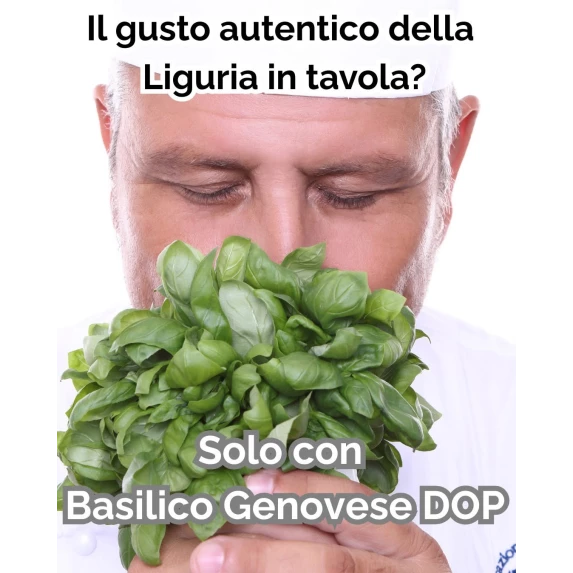 Pesto Frais Alla Genovese al Basilico Genovese DOP SEAU PET 1,2KG