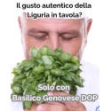 Pesto Frais Alla Genovese al Basilico Genovese DOP SEAU PET 1,2KG