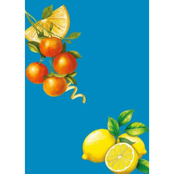 Panettone  Pistacchio Sicily Trip coffret métallique Vergani 750 g