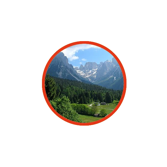 Tagliatelles Uovo Nidi 500GR COLIS DE 6KG GIGLIO